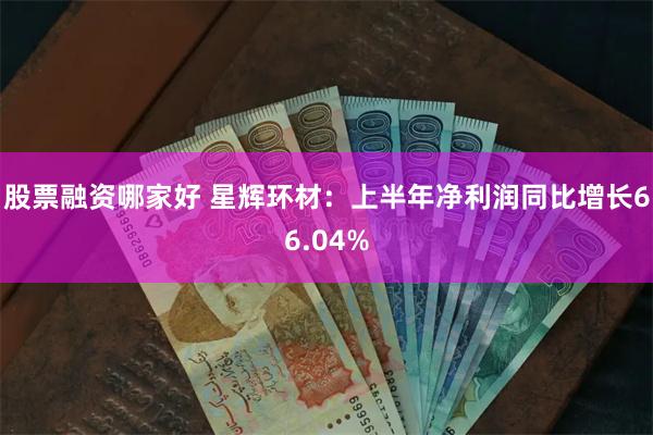 股票融资哪家好 星辉环材：上半年净利润同比增长66.04%