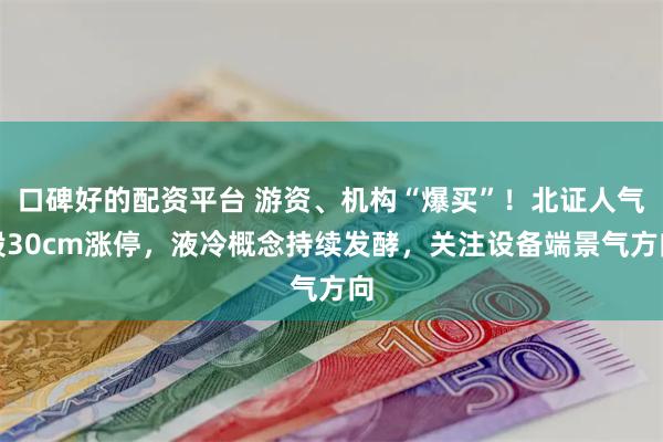 口碑好的配资平台 游资、机构“爆买”！北证人气股30cm涨停，液冷概念持续发酵，关注设备端景气方向