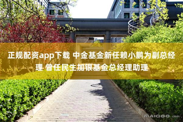 正规配资app下载 中金基金新任赖小鹏为副总经理 曾任民生加银基金总经理助理